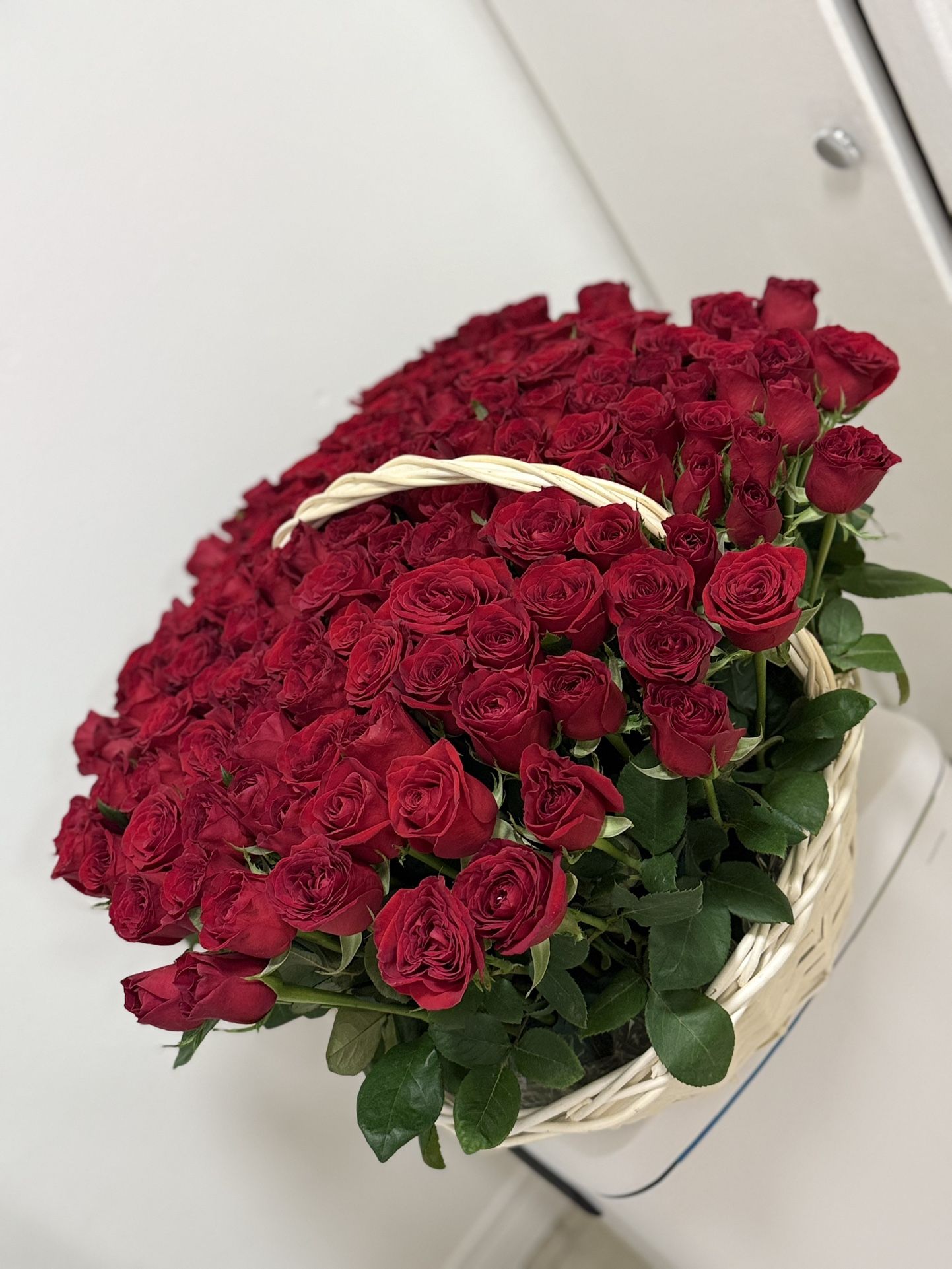 Fresh Flowers/ Ramo 🌹