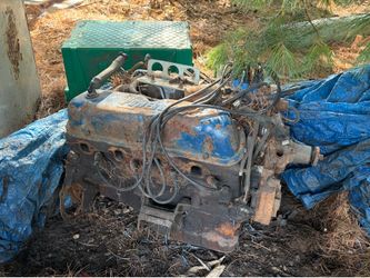 1971 302 ford engine