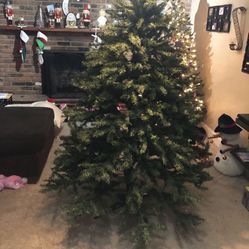 7.5 Christmas Tree 
