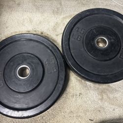 2X 45LB WEIGHT PLATES