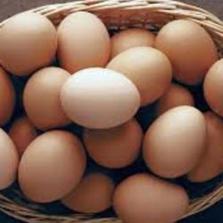 Eggs Fresh Daily Vancleave,me Vancleave homegrown