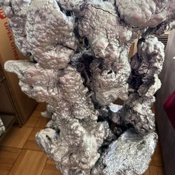 Tree Trunk End Tables 