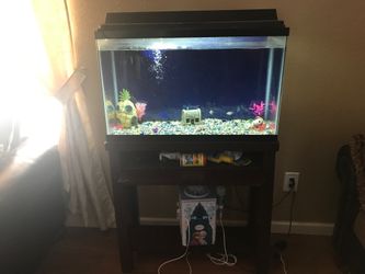 Pescara con motores, filtros, y luces que cambian de color extras