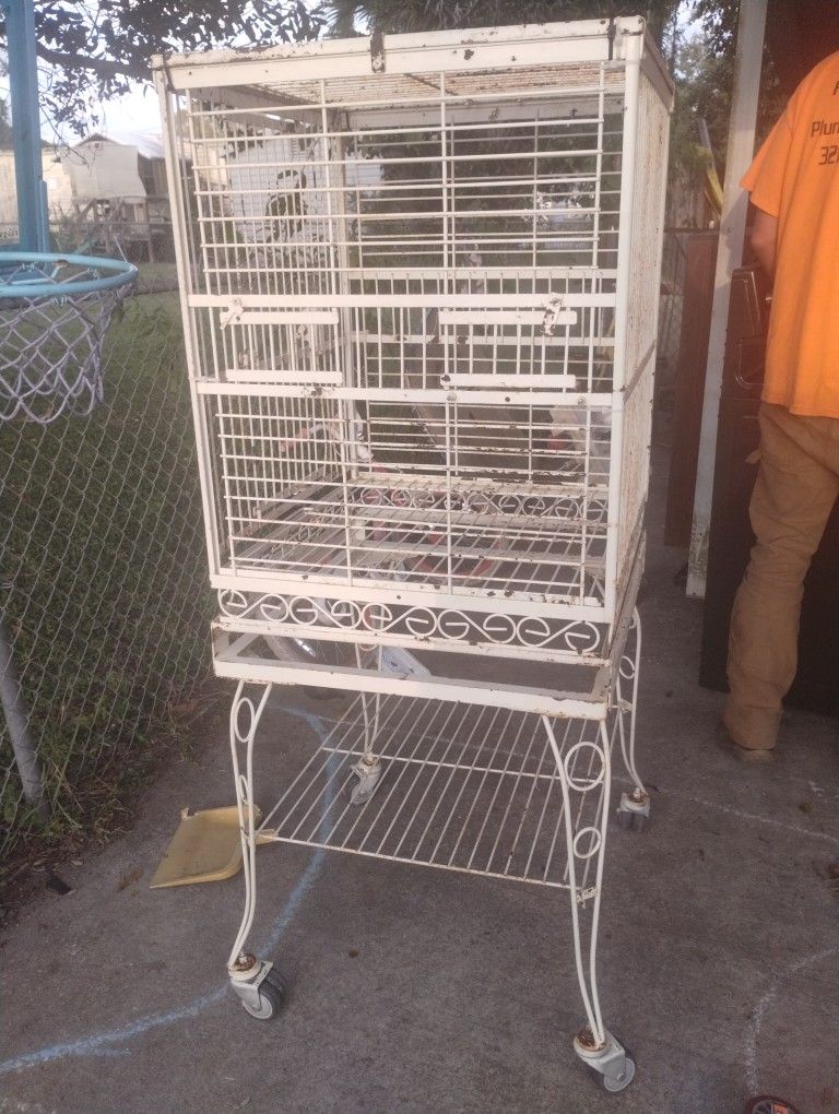 Bird Cage