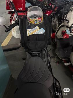 Cat motorcycle outing bag