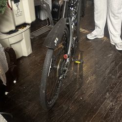 Pedal Flyer Hybrid Bike