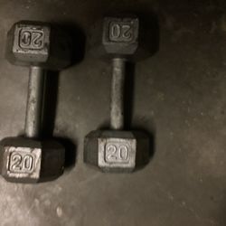 20 pound dumbbells weights Gym Workout