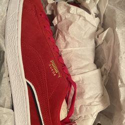 Brand New Puma Suede 8.5