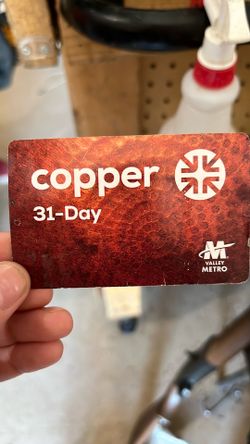 31 day bus pass