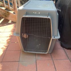Casa De Perro