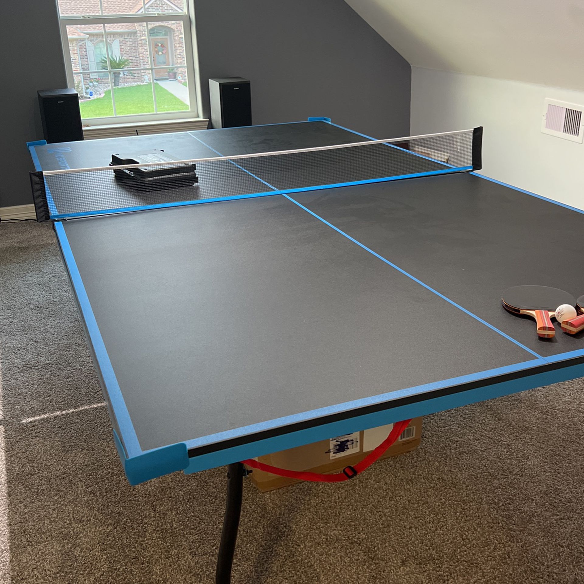Ping Pong Table (table tennis)