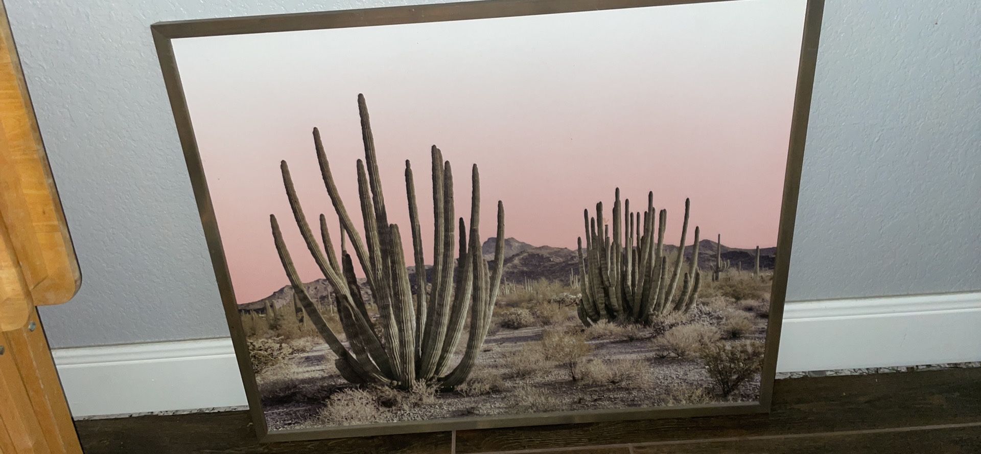 Cactus Hobby Lobby Wall Frame