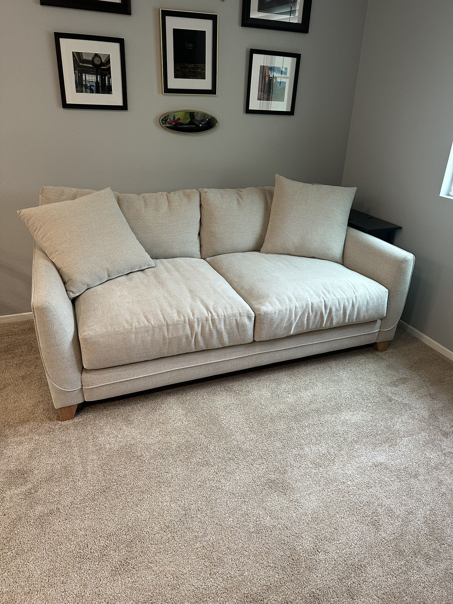 Large Cushion LoveSeat Couch 