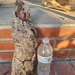 Driftwood