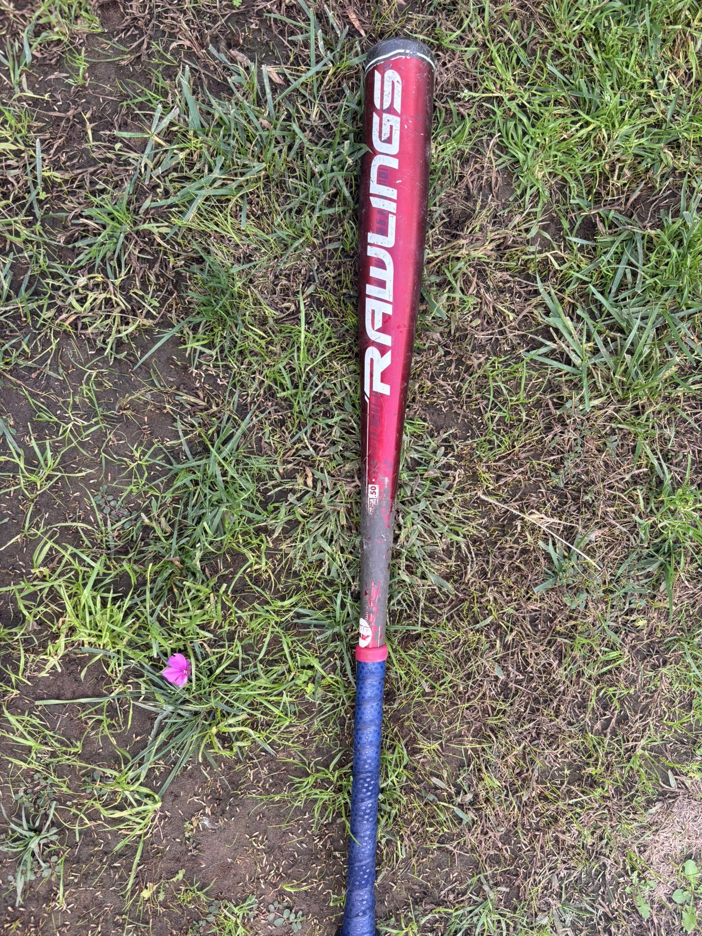 Rawlings Baseball Bat