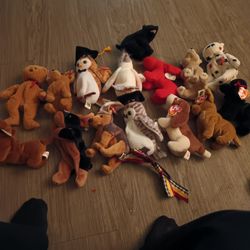 Group Of Beanie Babies