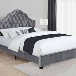 Brand New Grey Panel Bed with an Arched Tufted Design