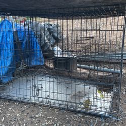 Dog Kennel