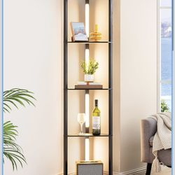 EDISHINE 64" Corner Display Shelf with Light, Modern Corner Floor Lamp with Shelves, 3CCT, Stepless Dimmable Standing Lamp for Living Room, Bedroom, O