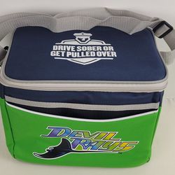 Tampa Bay Devil Rays MLB Baseball Lunchbox 12 Can Soft Cooler Tropicana Field