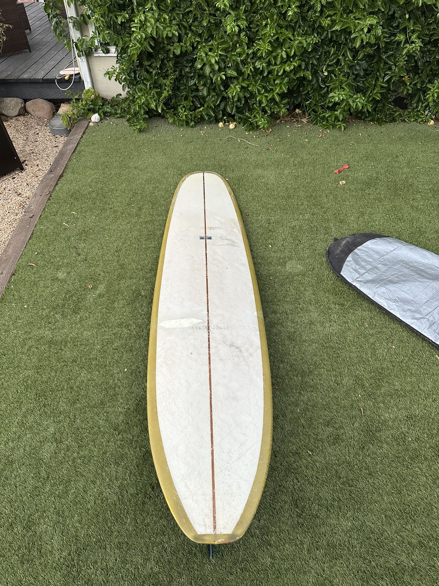 Dane Peterson “Peto Pig” Unhinged Surfboards for Sale in