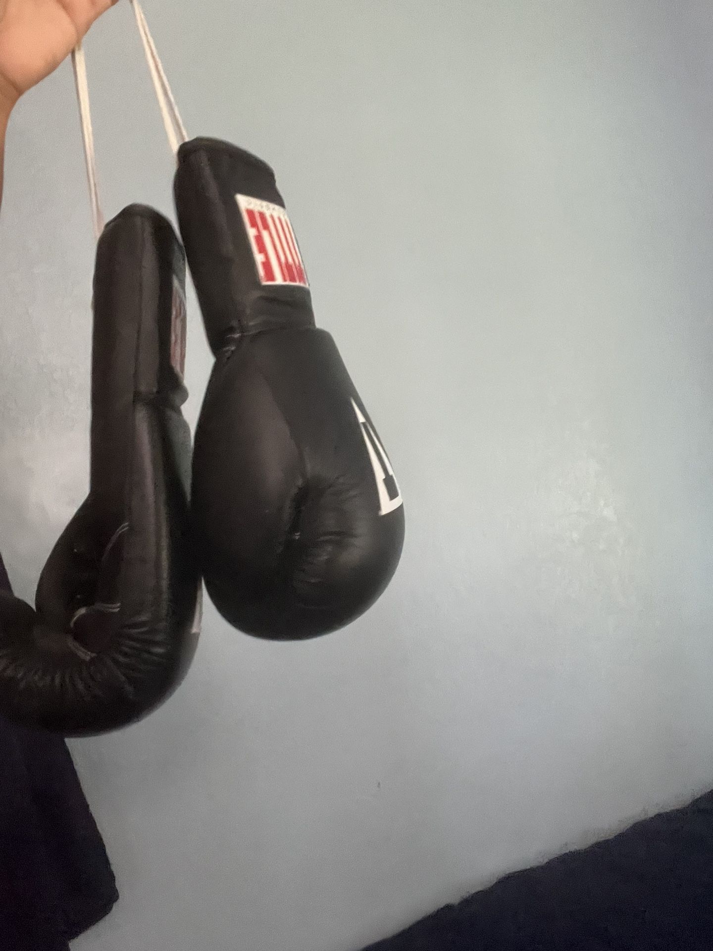 Title Boxing Gloves