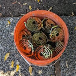 bucket of collated nails