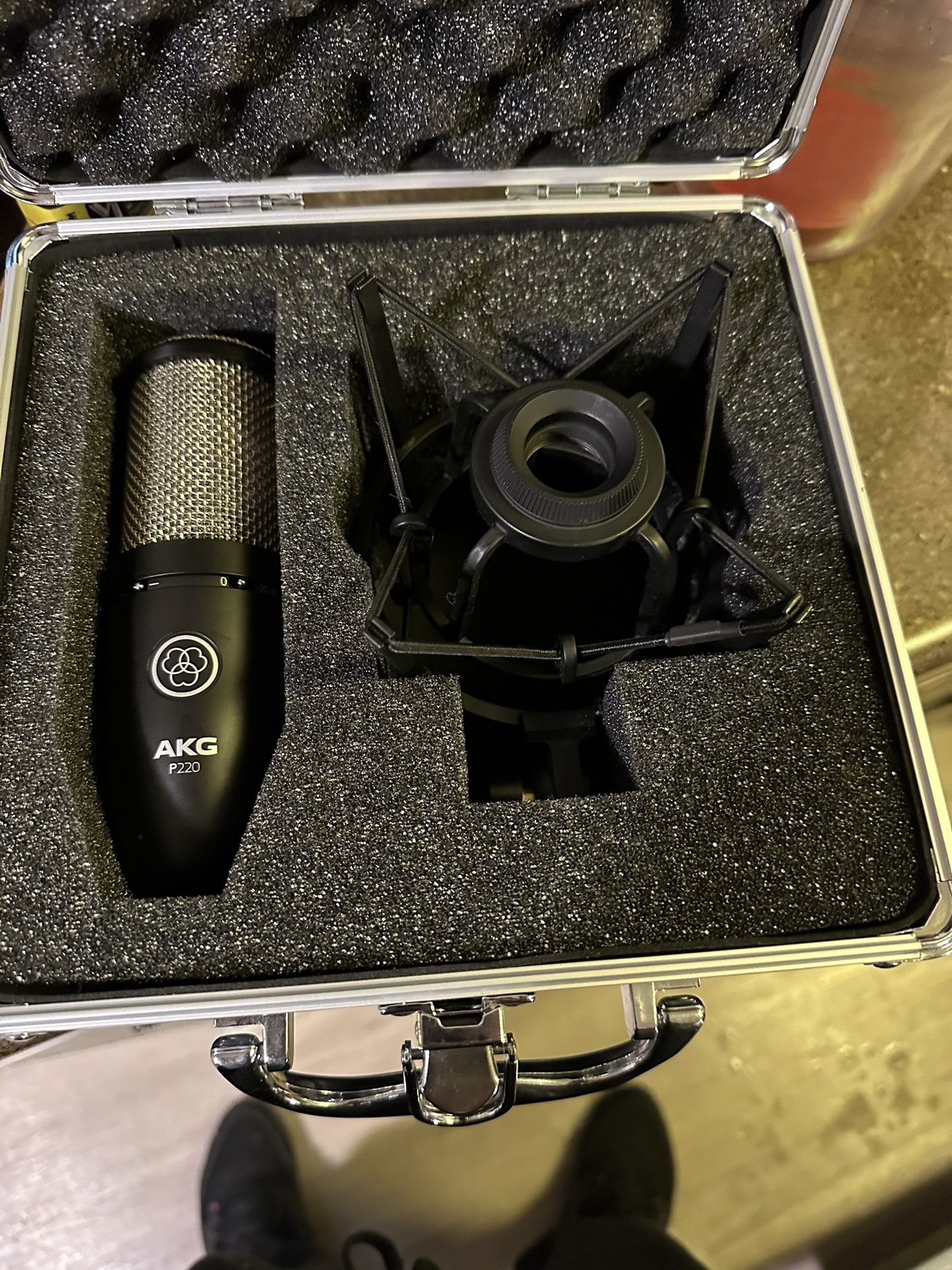 Akg P220