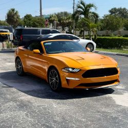 2019 Ford Mustang