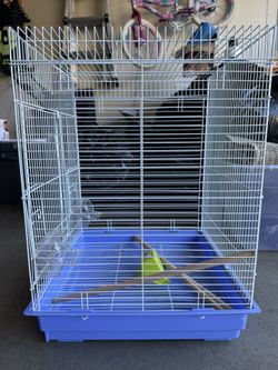Bird Cage