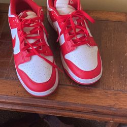 Nike Dunks Size 13