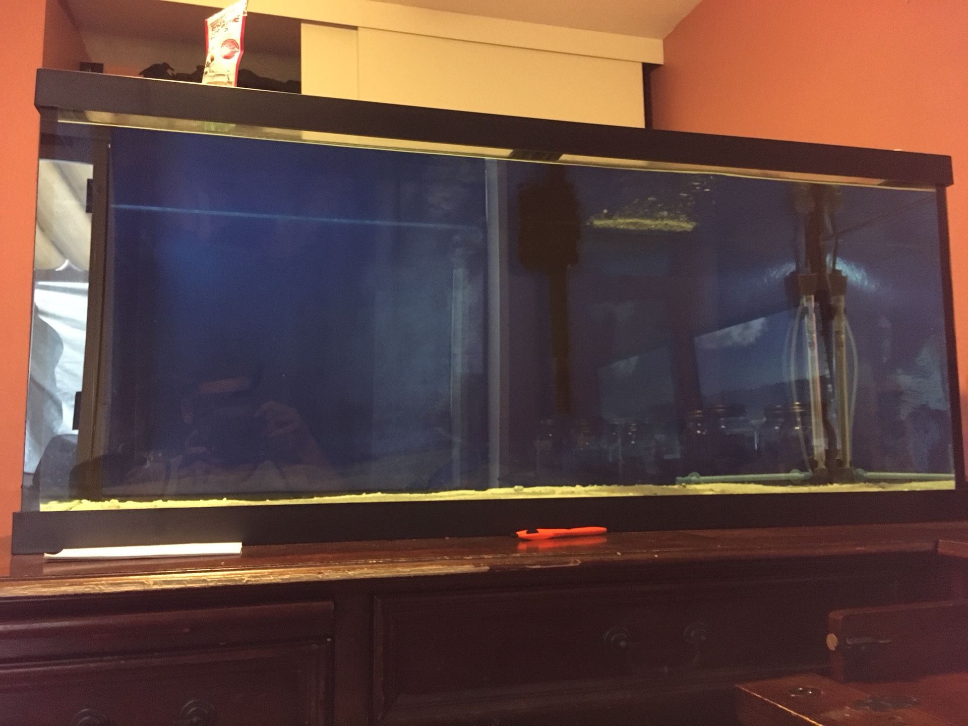 75 gallon aquarium