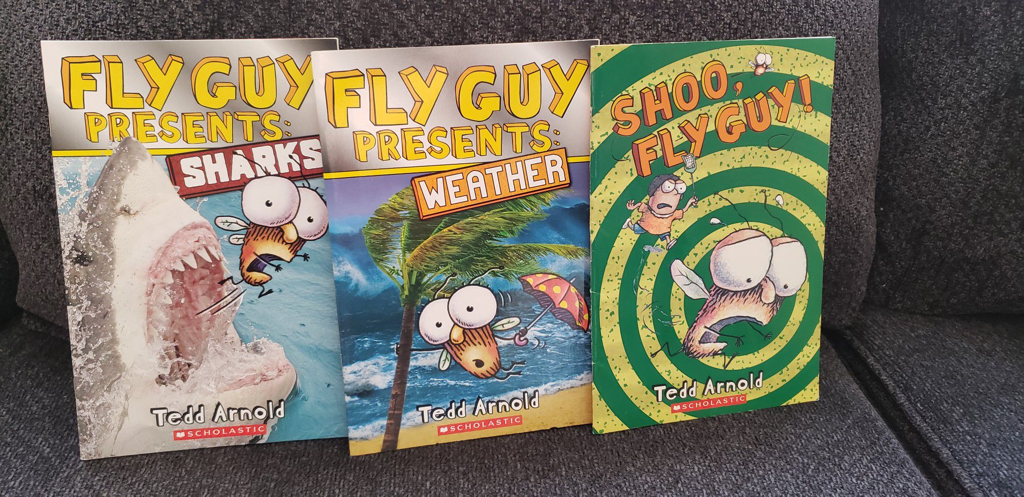 Fly guy books