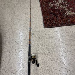 Seeker American Series Rod + Penn 9500SS High Speed Reel