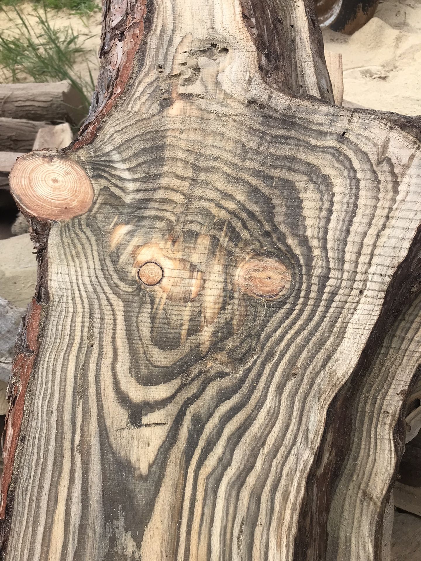 Live Edge Boards And Slabs
