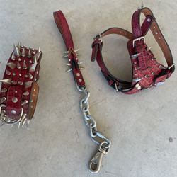 Spiked Leather Dog Collar 