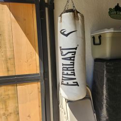 Punching Bag 
