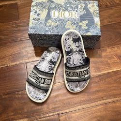 CD DWAY NWT Blue Toile de Jouy Slide Sandals