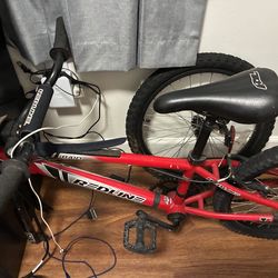 Redline Raid BMX Bike