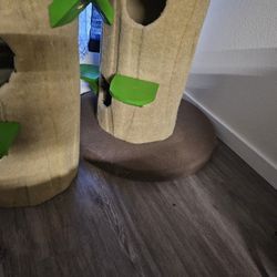 Arbol para gatos, 