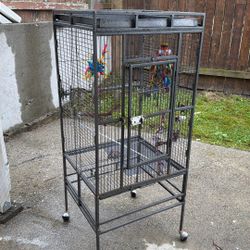 Parrot Cage 