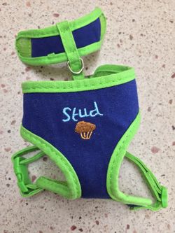 >>> $10 FIRM<<< Small STUD Dog/Cat Harness