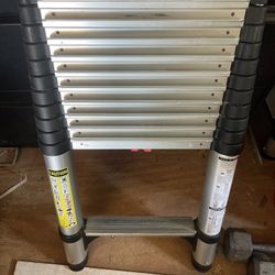 telesteps ladder