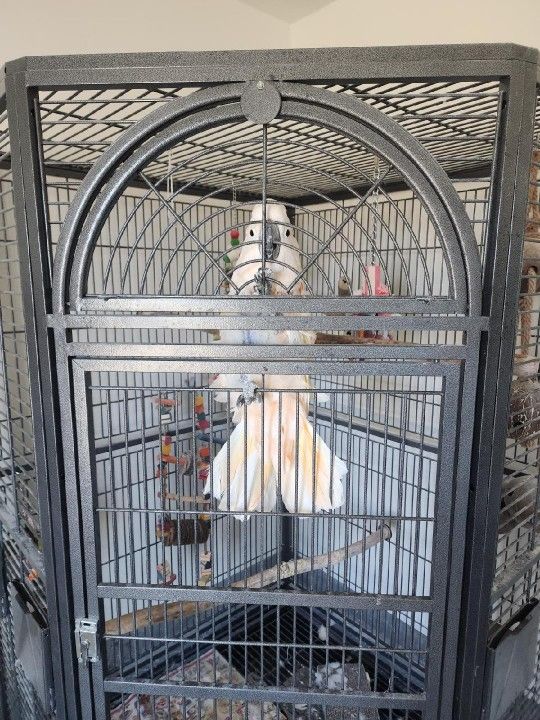 XL Corner Macaw Cage