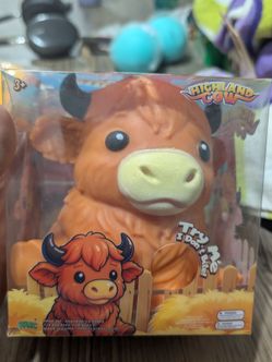 Highland cow