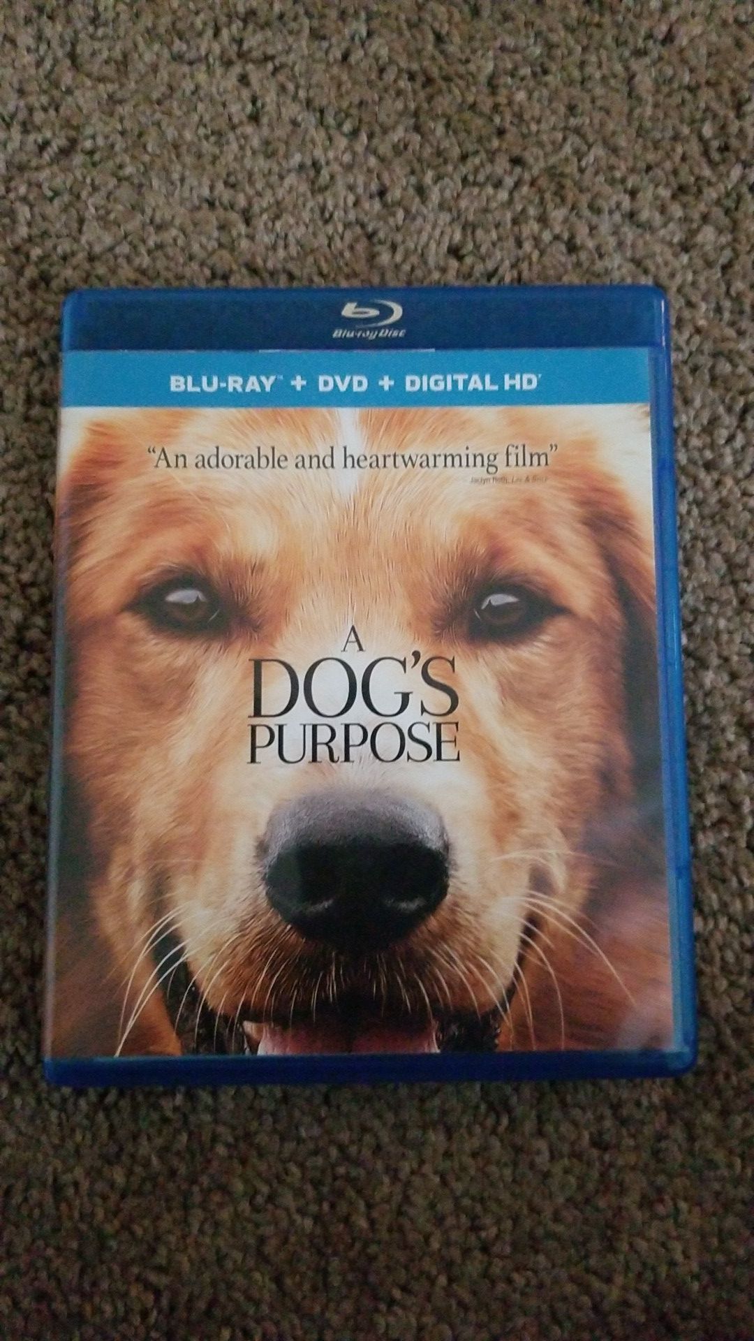 A DOGS PURPOSE