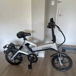 Electric Bicycle 