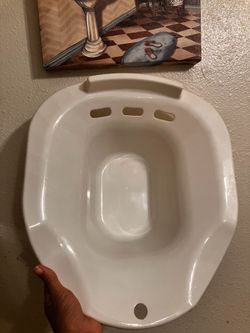 Toilet seat bowl
