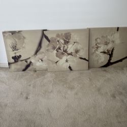 Three framed pictures