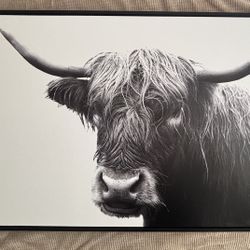 Highland Cow Framed Canvas from Threshold 